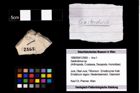 Foto (Objekt + Etikett) von Gastrodorus sp.  (NHMW-GEO-1990-0041-2565)